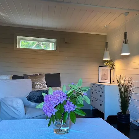 Cosy And Well-Equipped Apartment With Free Parking Trondheim Exterior foto
