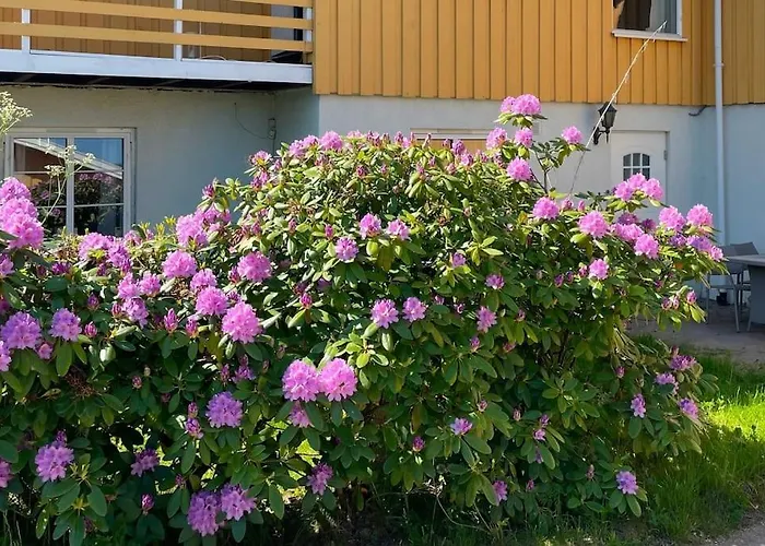 Cosy And Well-Equipped Apartment With Free Parking