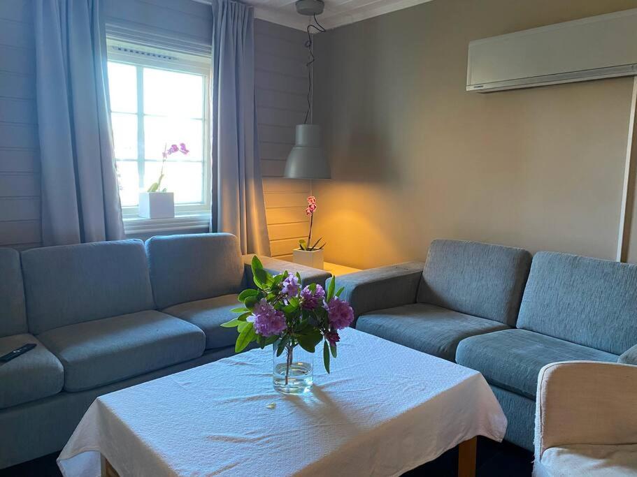 Cosy And Well-equipped With Free Parking Appartamento *