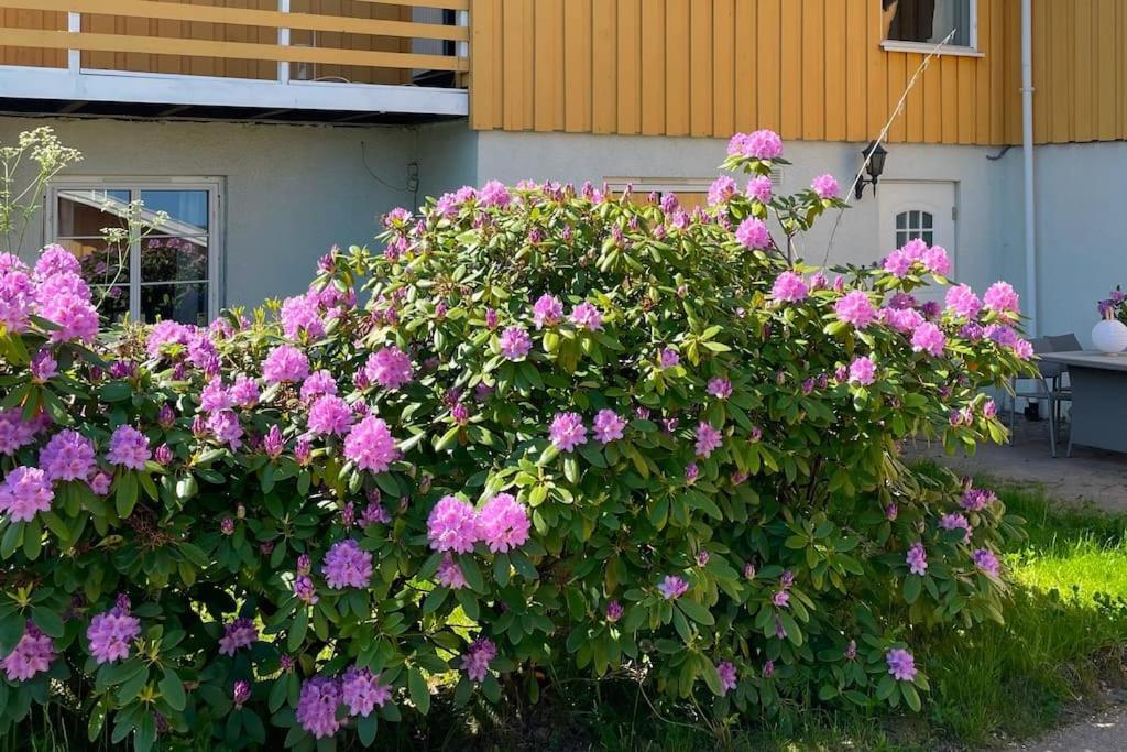 Appartamento Cosy And Well-equipped With Free Parking Trondheim