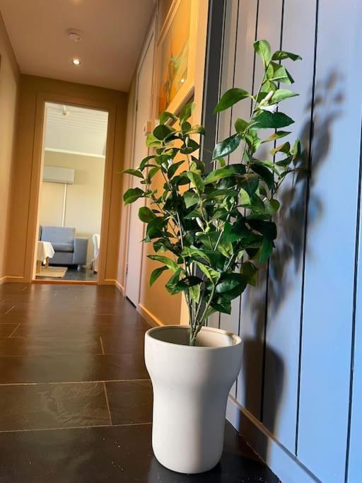 Appartamento Cosy And Well-equipped With Free Parking *